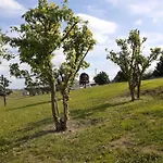 Tiziana Relax And Pool ,wine & Food Moriondo Torinese