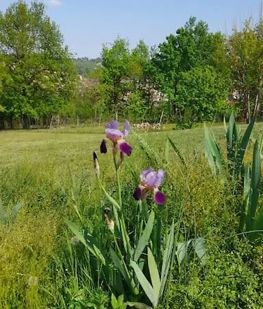 Tiziana Relax And Pool ,wine & Food Holiday home Moriondo Torinese