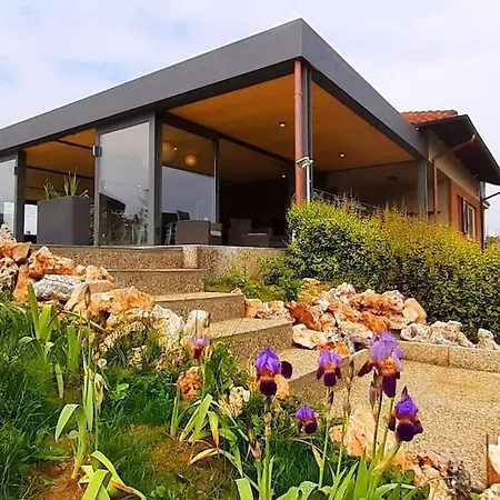 Tiziana Relax And Pool ,wine & Food Holiday home Moriondo Torinese