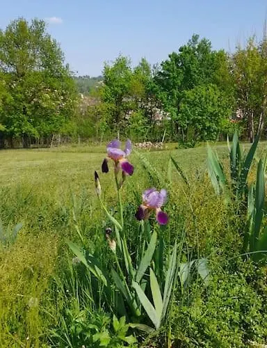 Tiziana Relax And Pool ,wine & Food Holiday home Moriondo Torinese